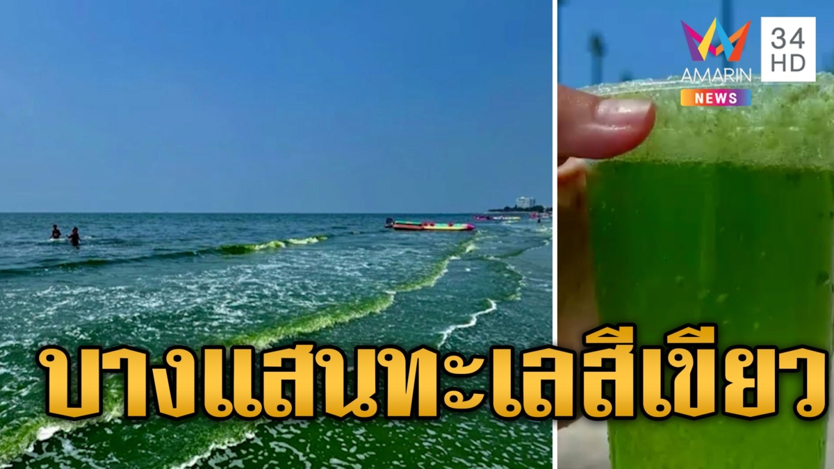 หยุดยาวทะเลบางแสนเขียวอี๋ แม่ค้าบอกเล่นได้ไม่อันตราย