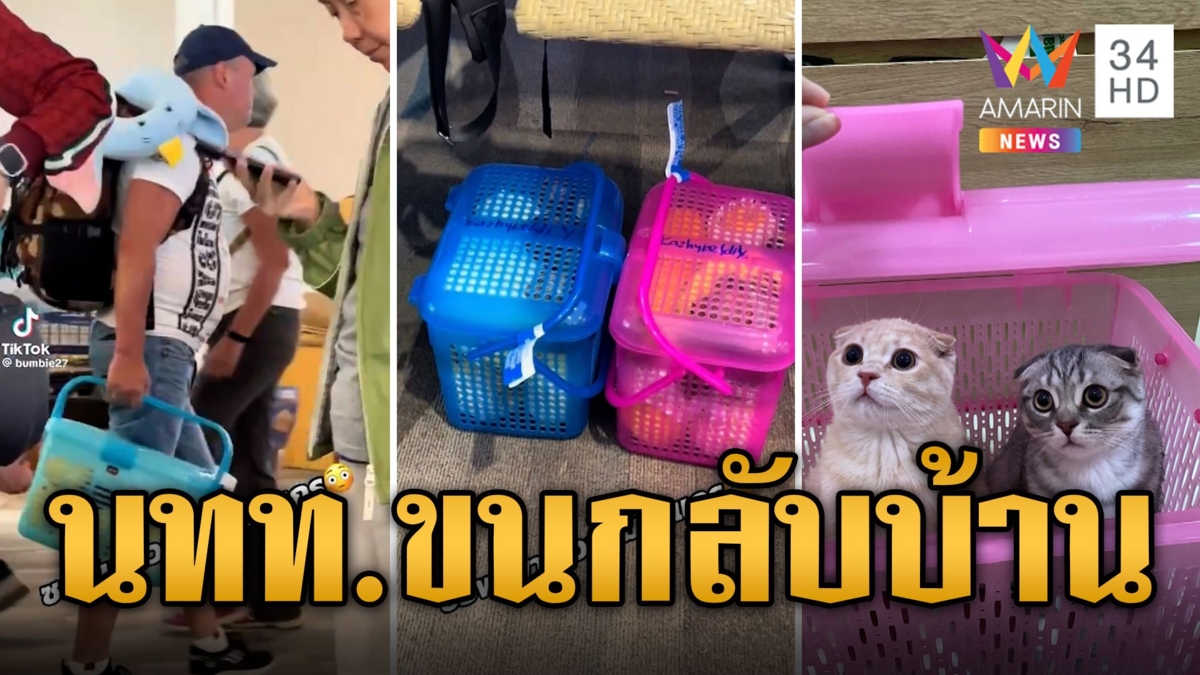 ตะกร้าหลากสี ซอฟต์พาวเวอร์มาก ฝรั่งหิ้วกลับต่างประเทศ