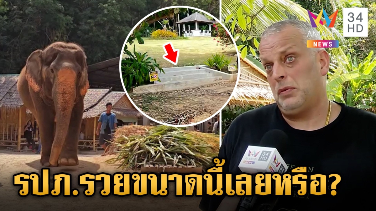"เดวิด" อ่วม! โดนเช็กละเอียดยิบ ใช้ "ปางช้าง" ฟอกเงินหรือไม่ เพจดังขุดแฉ อดีตทำงาน รปภ. ที่สวิตฯ ก่อนมาอู้ฟู่ที่ไทย