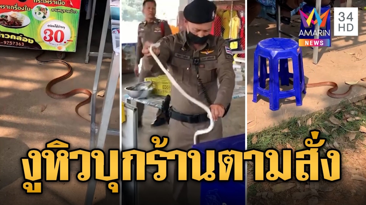ตร.วงแตก! งูทางมะพร้าวยาวกว่า 2 ม.บุกร้านตามสั่ง