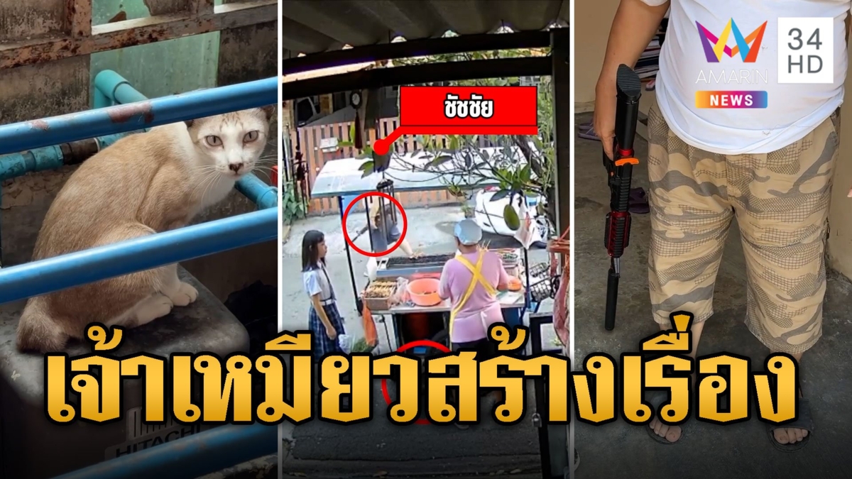 ชาวบ้านร้อง! ลุงฉุนแมวอึ-ฉี่ไม่เป็นที่ ควงปืนอัดลมไล่ยิง