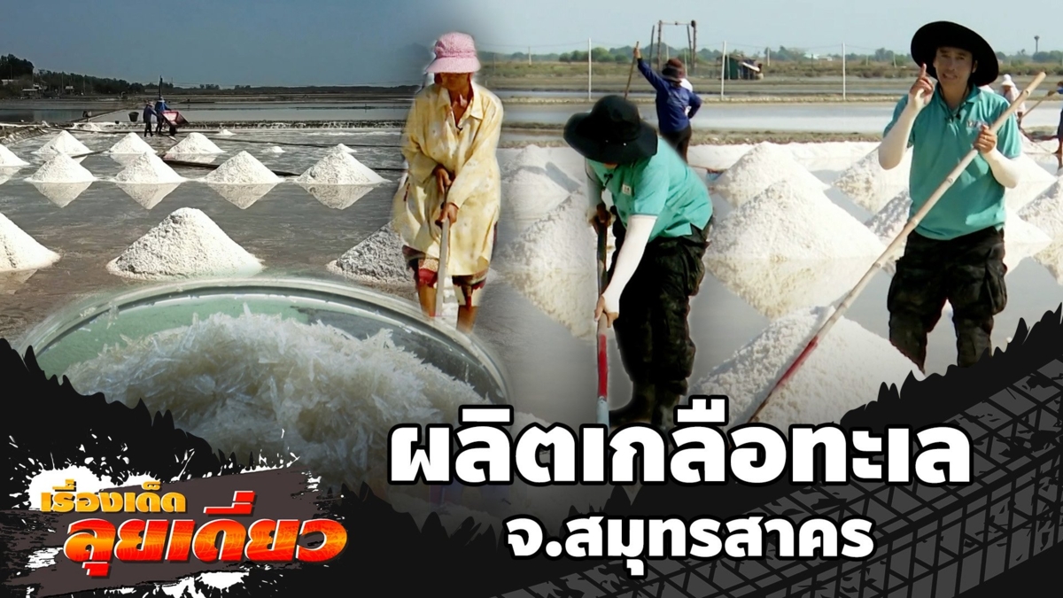 เรื่องเด็ดลุยเดี่ยว | ผลิตเกลือทะเล จ.สมุทรสาคร