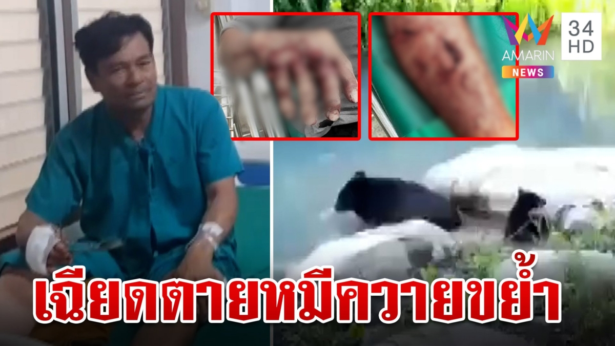 เฒ่าเข้าป่าแหย่ไข่มดแดง เผยนาทีเฉียดตายเผชิญหน้าหมีควายถูกขย้ำหวิดสู่ขิต