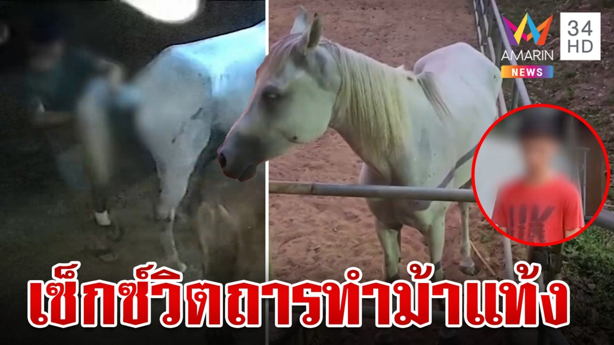 ฝรั่งเซ็กซ์วิตถารอนาจารม้าท้องแก่จนแท้ง เจ้าของเผยนึกว่าเอ็นดูที่ไหนได้วิปริต