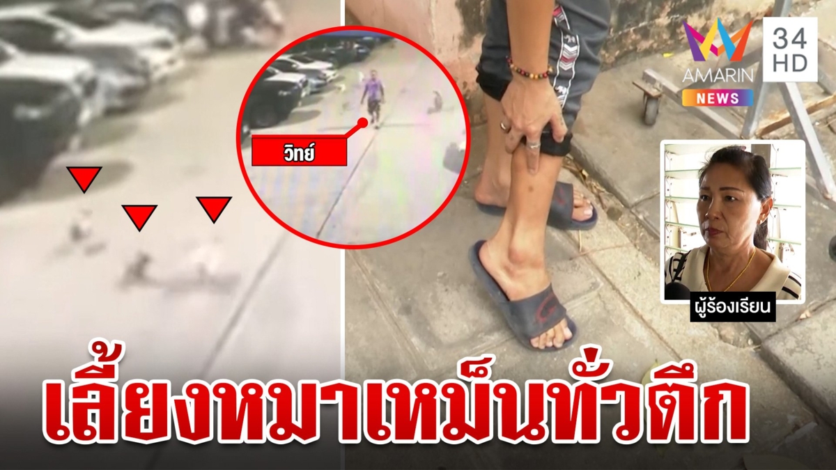 สุดทน!เพื่อนบ้านร้องหนุ่มเลี้ยงหมา 12 ตัวในห้อง ส่งเสียงดัง-เหม็นทั่วตึก แฉเคยปล่อยกัด