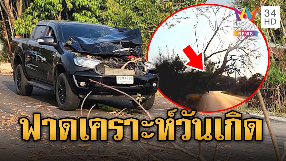 ต้นไม้ล้มทับหนุ่มขับกระบะหวิดม้วยวันเกิด ส่อง "ทะเบียนรถ" ฟาดเคราะห์ ลุ้นรวย งวด 16 มีนาคม 2567