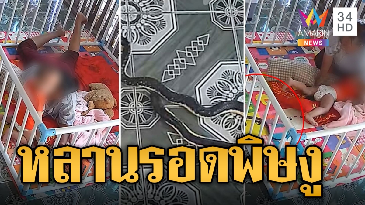 ยายกรี๊ดลั่น! งูเลื้อยตรงมาที่หลาน กระชากหลบรอดพิษงูหวุดหวิด