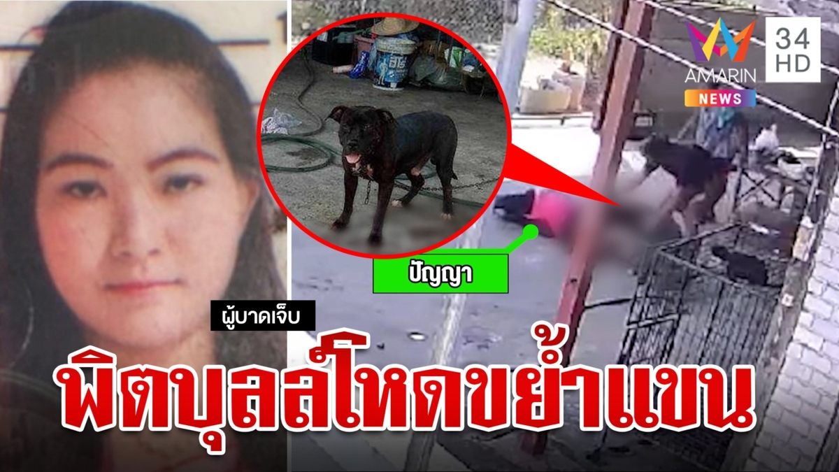 สยอง!พิตบุลล์ขย้ำโหดเพื่อนบ้านแขนเกือบขาด ใช้เวลาเกือบ 4 นาที กว่าจะยอมปล่อย