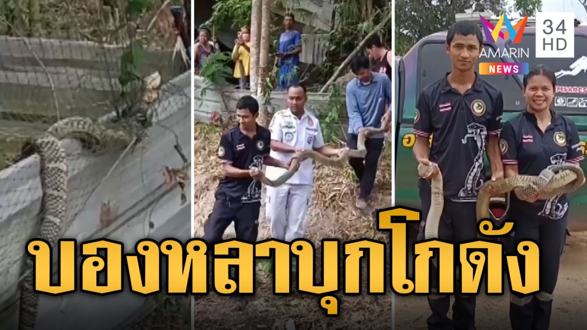นุดช่วยด้วย! บองหลาบุกโกดัง ติดรั้วตาข่าย กู้ภัย 3 คนช่วยจับออก