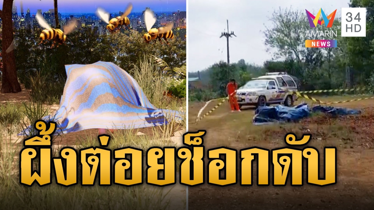 หนุ่มใหญ่ถูกผึ้งต่อย หนีหลบใต้ผ้าใบ ทนพิษบาดแผลไม่ไหวช็อกดับ
