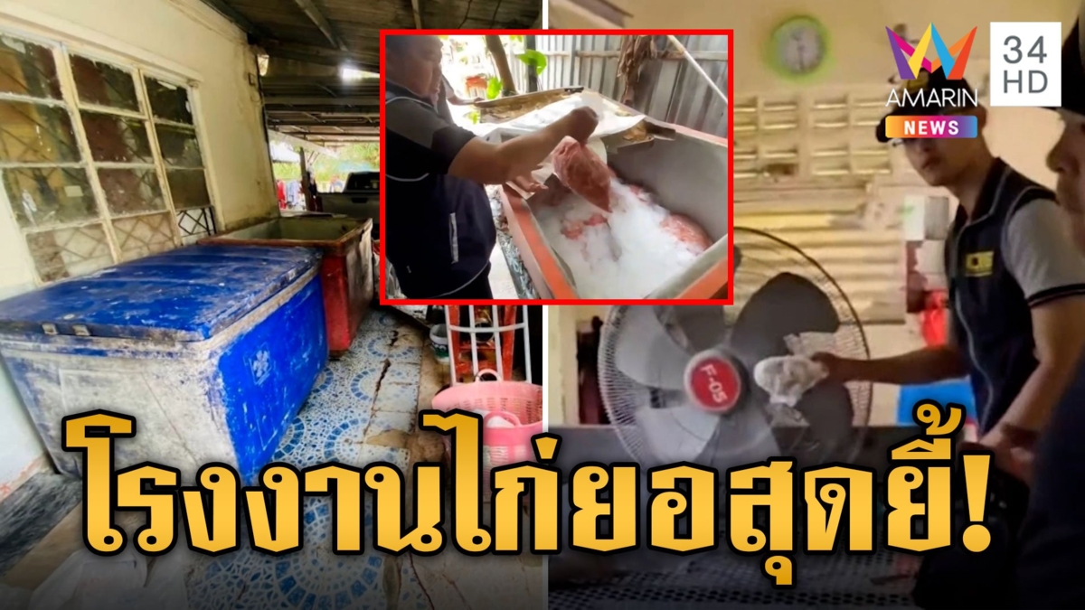 สุดยี้! โรงงานไก่ยอเถื่อน ขี้หมา-ขี้แมวเกลื่อน ส่งขายตลาดใหญ่ในกรุงเทพฯ