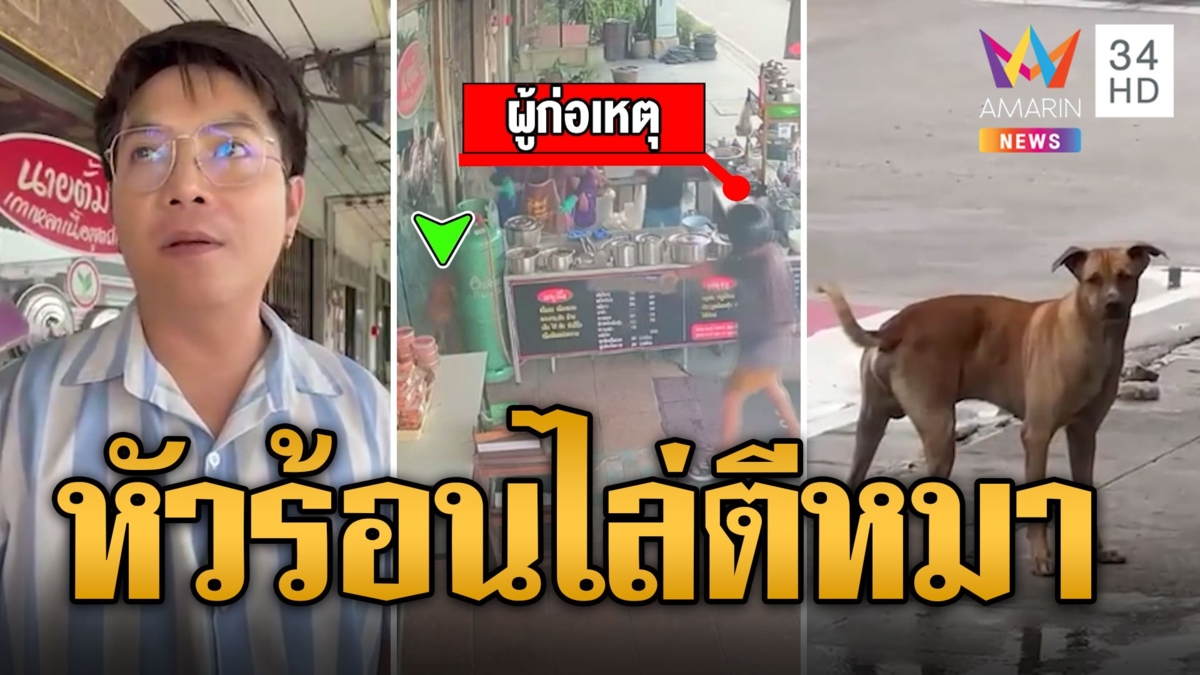 หนุ่มหัวร้อน ถือไม้ไล่ตีหมาจรข้างถนน แบบนี้ใครผิด?