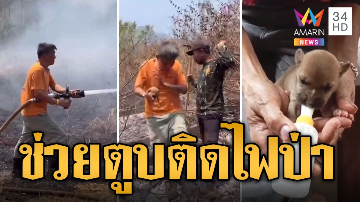 ช่วยระทึก! ลูกหมา ติดกลางวงไฟป่าร้อนระอุ