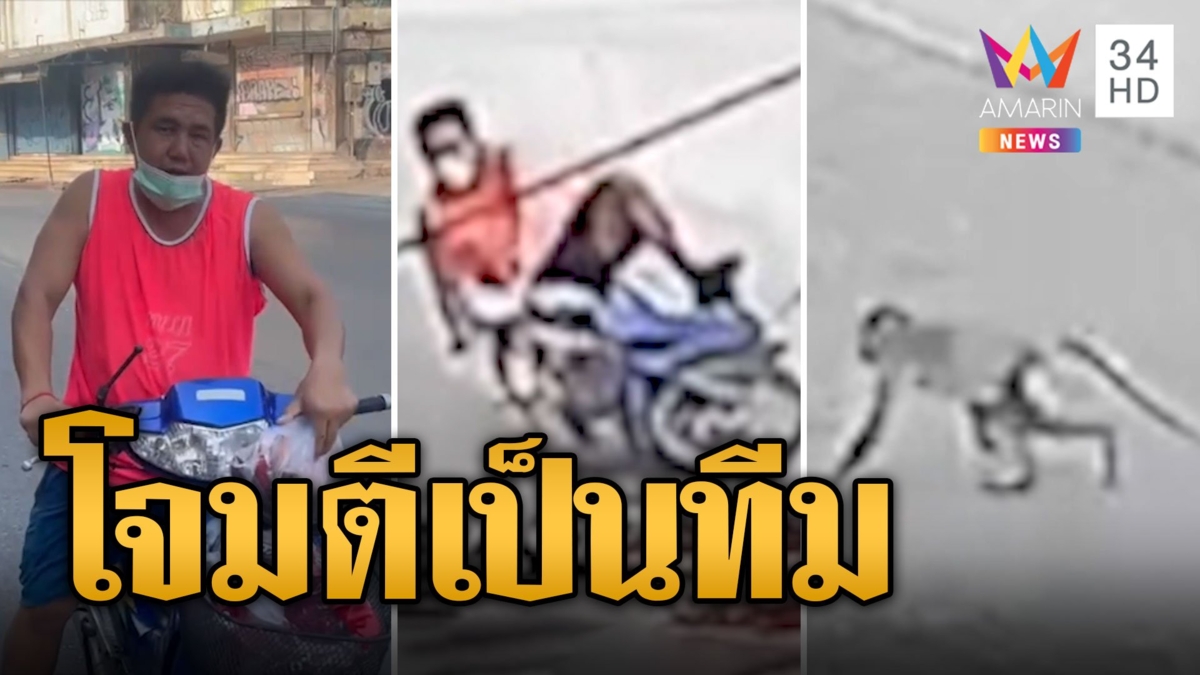 ลิงลพบุรีกร่างไม่แผ่ว ถีบจยย.แย่งถุงแกง