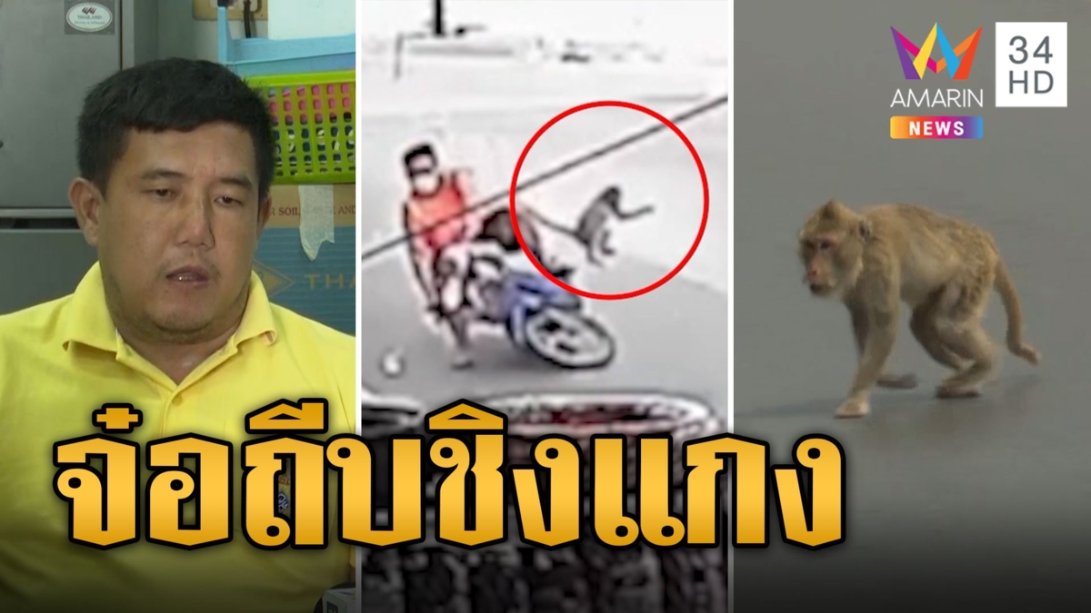 จ๋อลพบุรีเหิม กระโดดถีบจยย. ก่อนชิงถุงแกงหนี