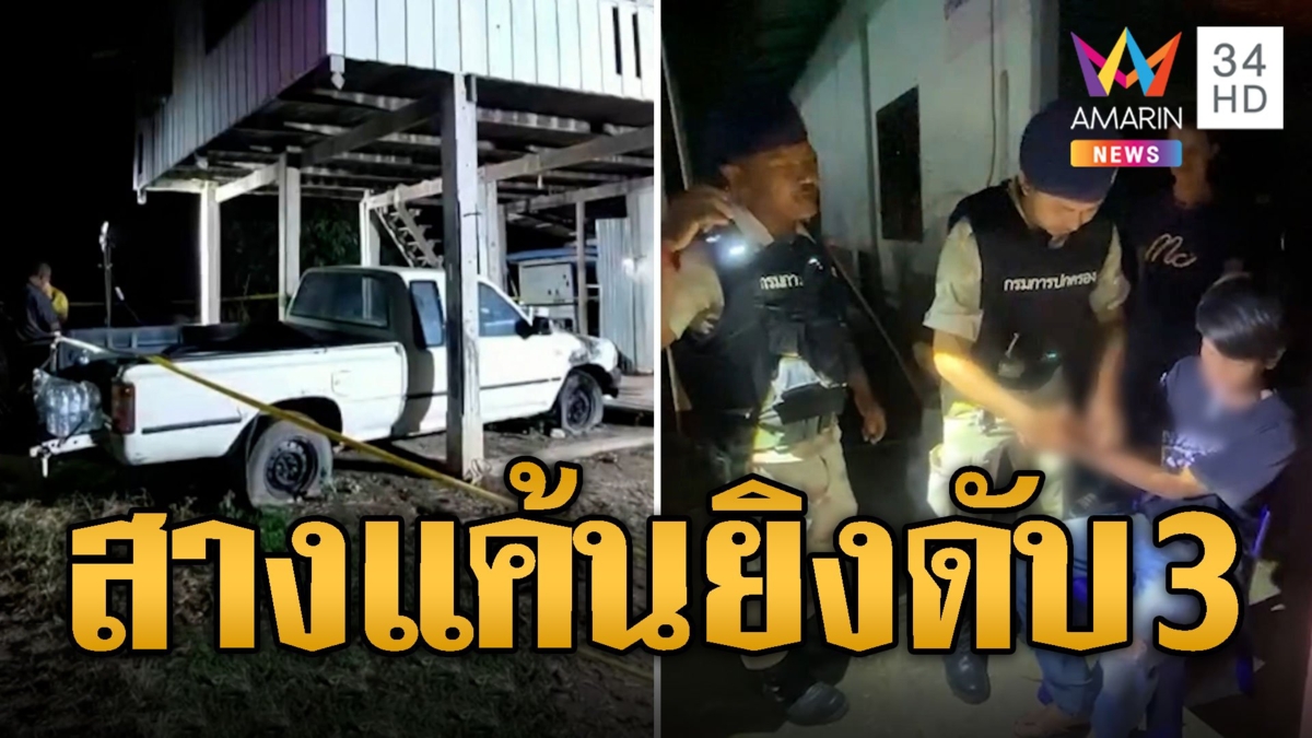 แค้นฝังใจ! หลานเขยควงปืนยิงน้าเมีย-เพื่อน ดับ 3
