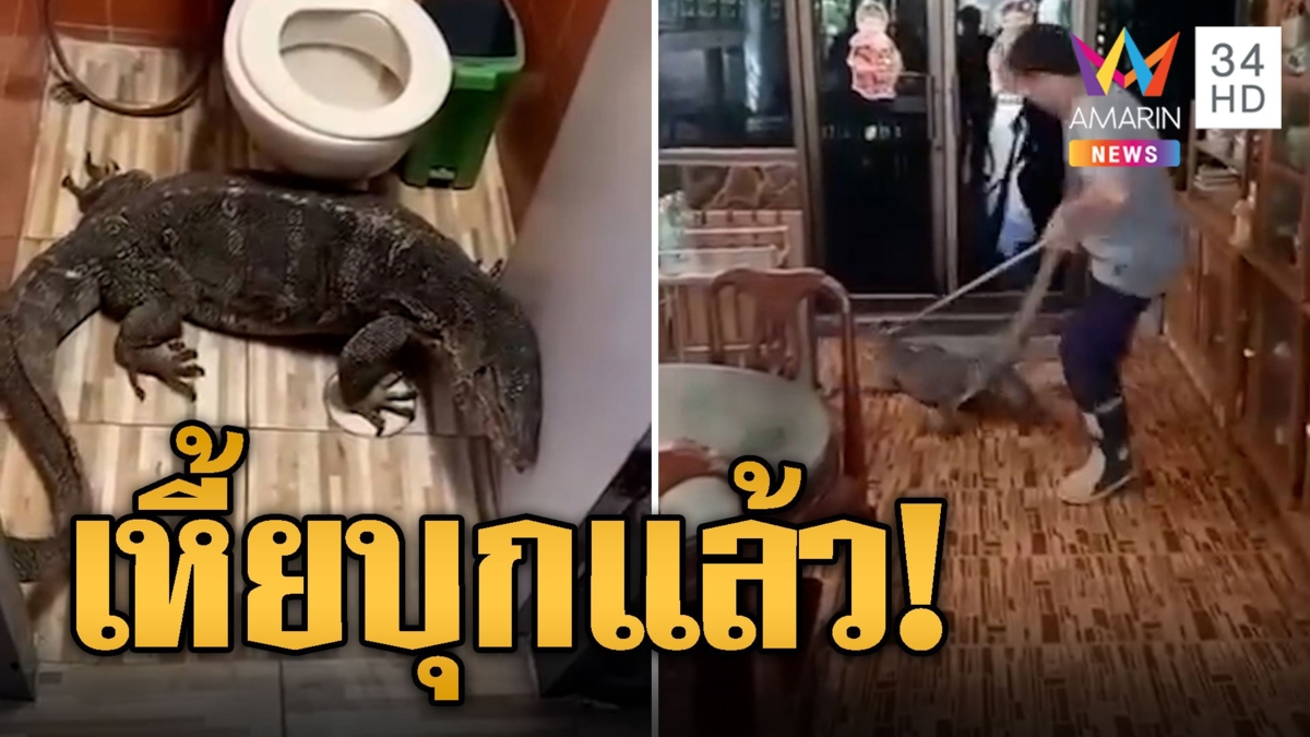หนุ่มหัวใจจะวาย จะเข้าห้องน้ำเปิดมาเจอตัวเหี้ยอ้วนมาก โร่เรียกกู้ภัย