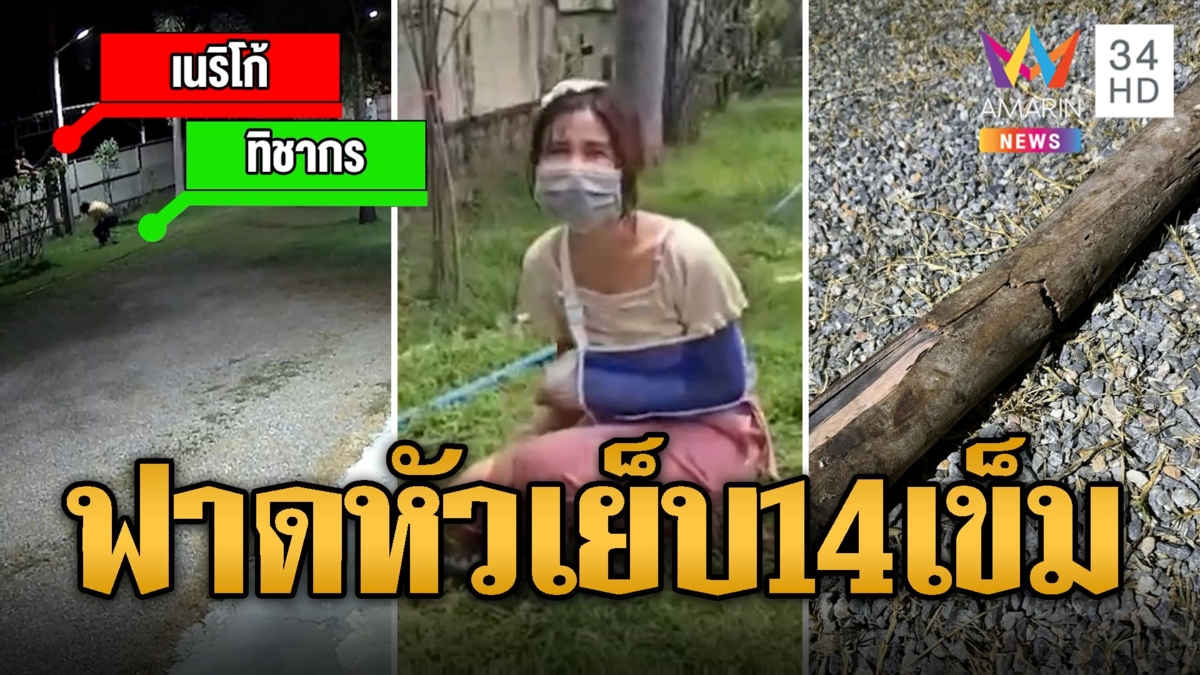 โจรใจเหี้ยม คว้าไม้ฟาดหัวสาวรดน้ำต้นไม้ เย็บ 14 เข็ม กระดูกนิ้วหัก