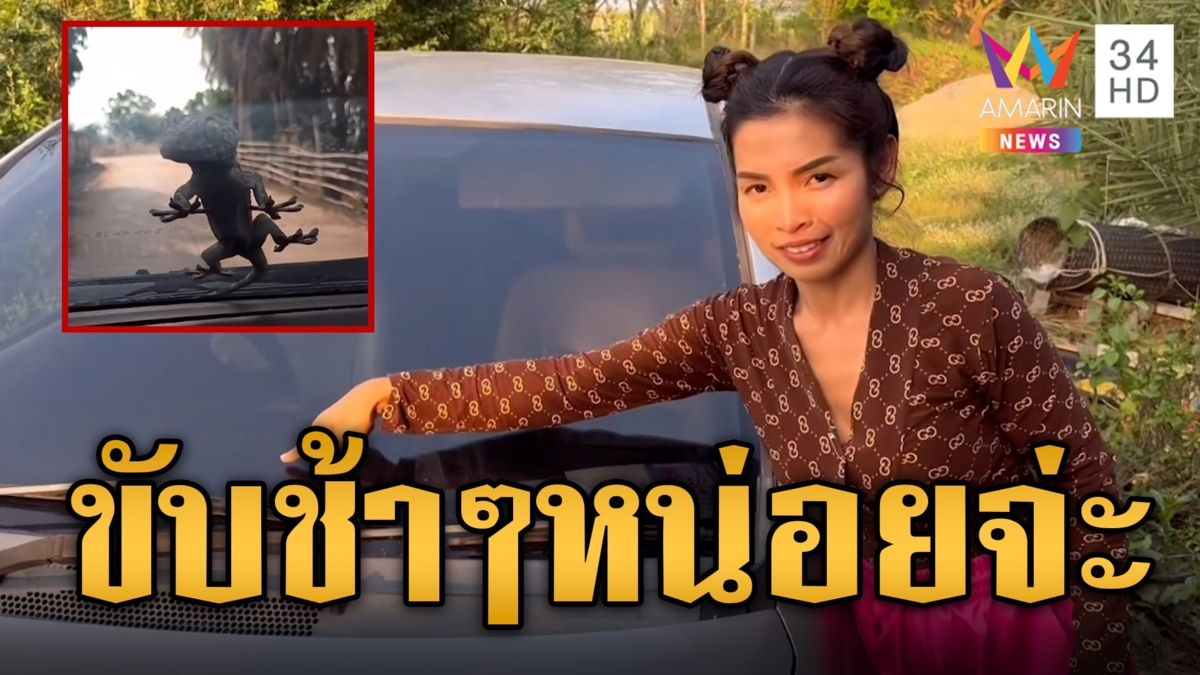 กรี๊ดลั่น! ตุ๊กแก เกาะกระจกรถจ้องตาคนขับตาต่อตา