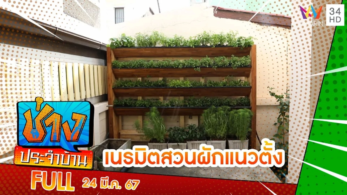 จัดสรรพื้นที่หลังบ้านให้เป็นสวนผักแนวตั้ง