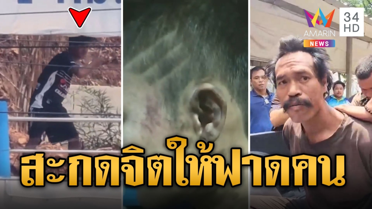 หนุ่มคลั่ง ถือไม้ฟาดชาวบ้าน จับได้อ้างโดนสะกดจิต