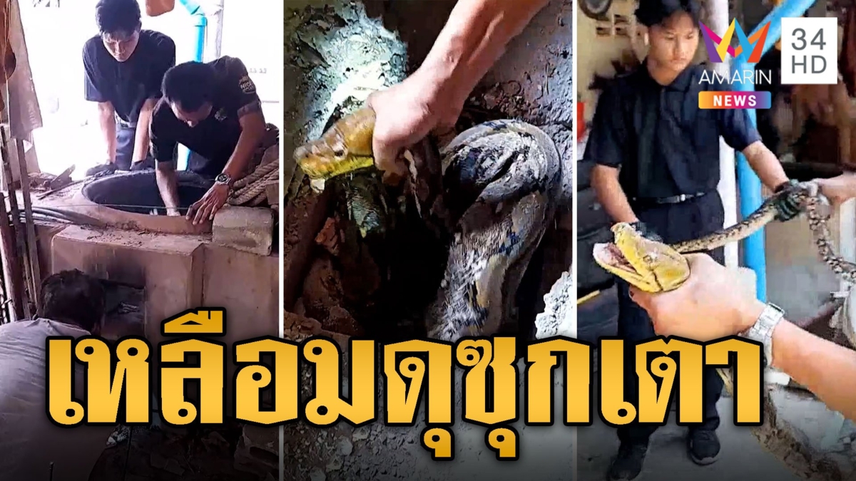 เหลือมดุ ซุกใต้เตาทำอาหารในวัด พระเณรกระเจิง