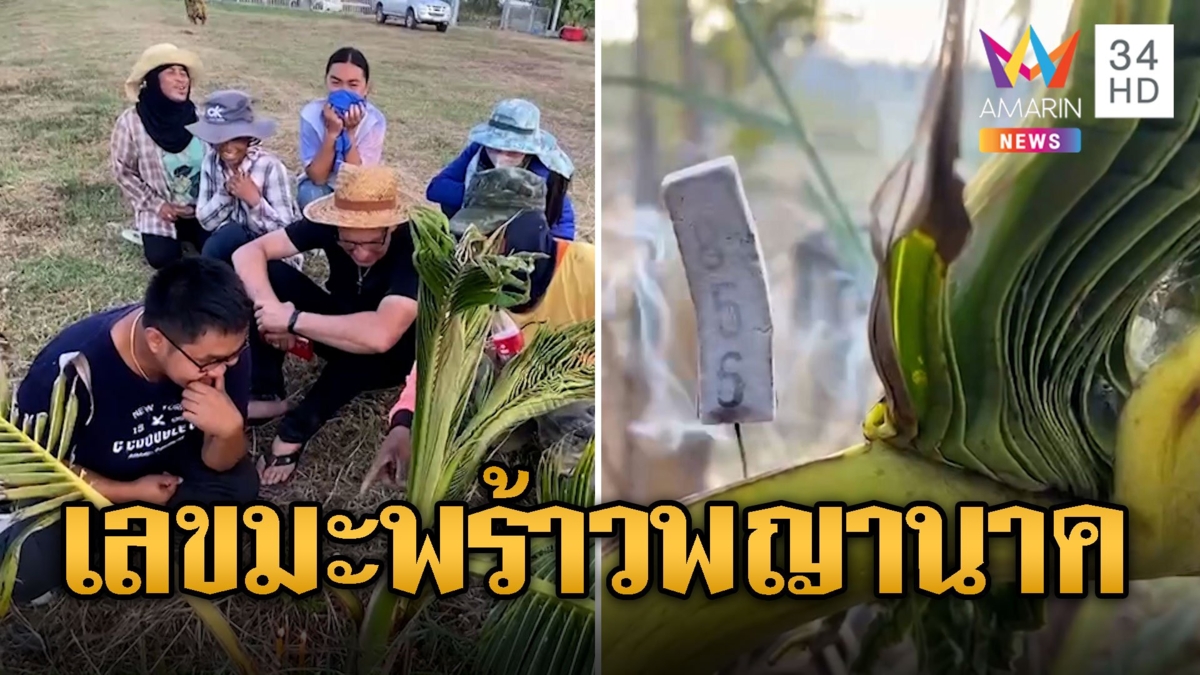 ฝรั่งยังมุง ชาวบ้านขอหวยมะพร้าวพญานาค