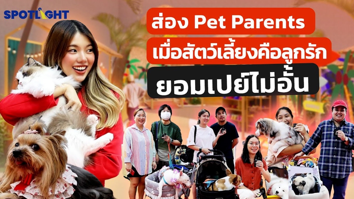 เมื่อสัตว์เลี้ยงคือลูกรัก ยอมเปย์ไม่อั้น