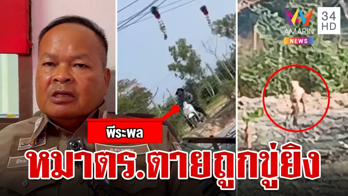 ตำรวจกร่างปืนขู่ยิงเจ้าของฟาร์มเป็ด เข้าใจผิดคิดว่าวางยาหมา หลังเจอนอนตายข้างรั้ว