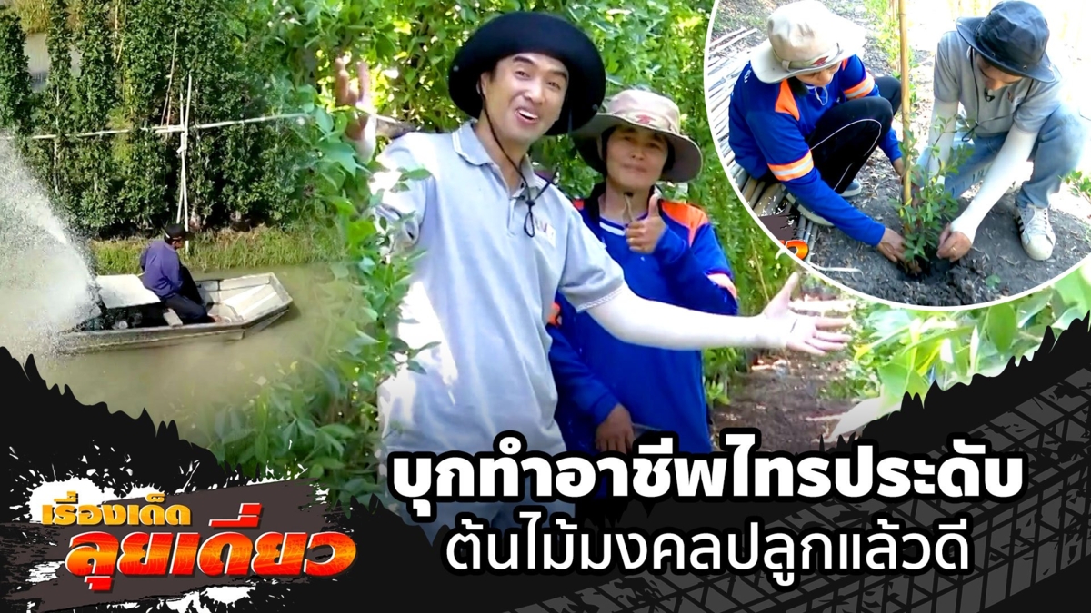 เรื่องเด็ดลุยเดี่ยว | บุกทำอาชีพไทรประดับต้นไม้มงคลปลูกแล้วดีจ.นครปฐม