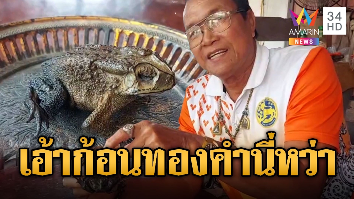 ฮือฮา ซากคางคก ไม่เน่าเปื่อย แห้งคงสภาพเดิม ผช.ผญบ.ใส่พานบูชา