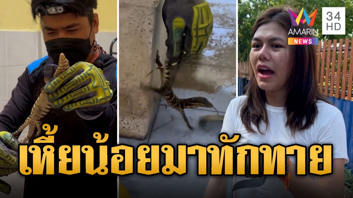 ไกด์สาวกรี๊ดลั่น ตัวเหี้ยชูคอรออยู่ในห้องน้ำ