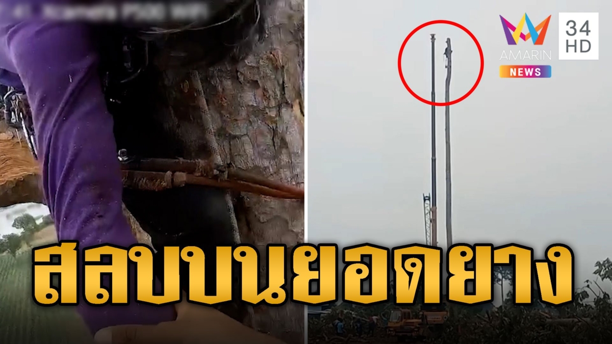 หวาดเสียว จนท.รุดช่วยหนุ่มตัดต้นยางสูง 30 เมตร หลังโดนกิ่งไม้กระแทกสลบบนยอด
