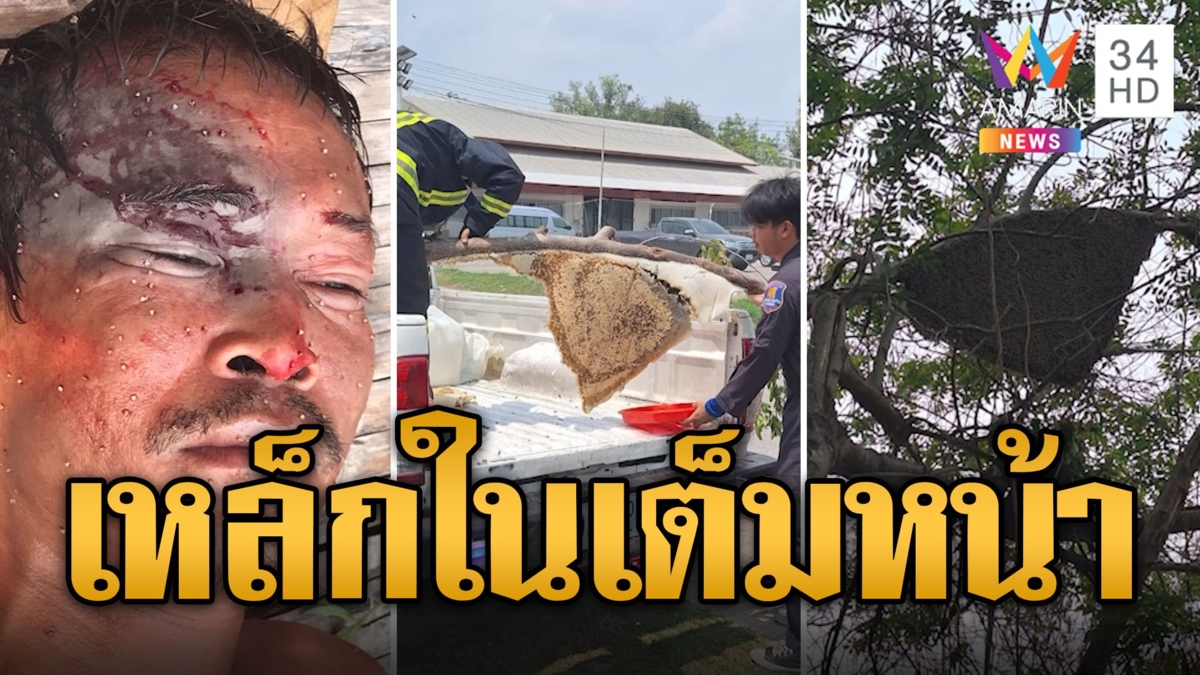 โหดจัด! หนุ่มถูกผึ้งหลวง 200 กว่าตัวรุมต่อย เหล็กในเต็มหน้า