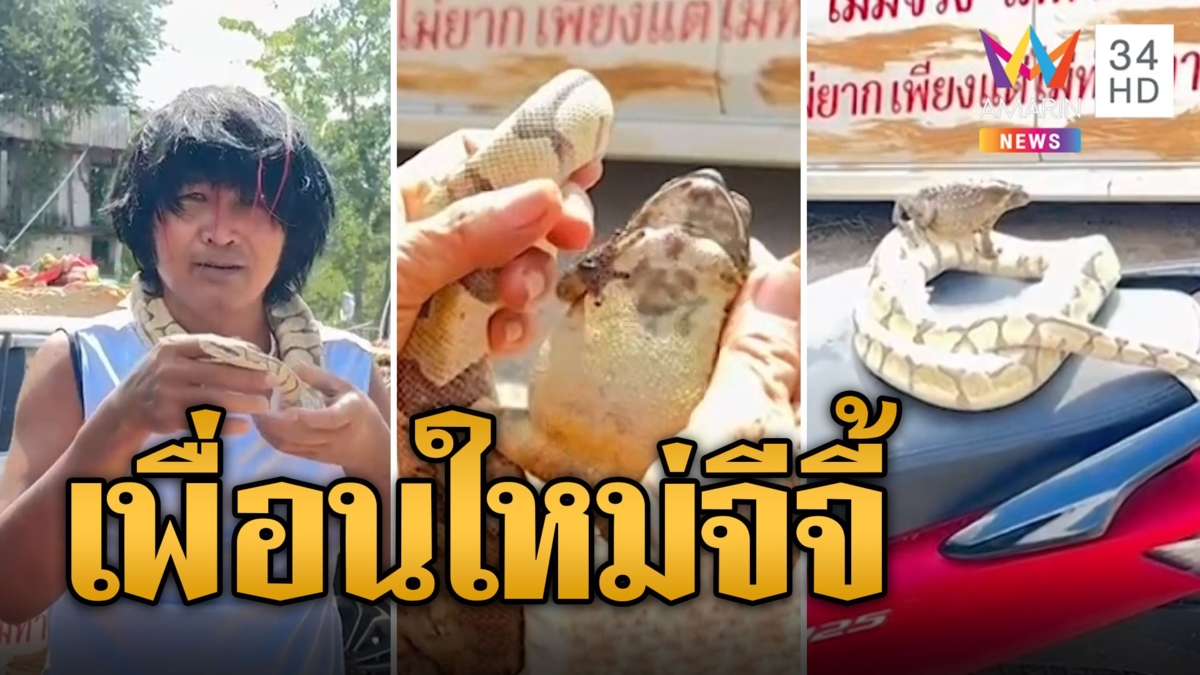 เปิดตัวเพื่อนใหม่ 'น้องจีจี้' ไม่เหงาแล้ว พี่อุทัยเทวี ขี่หลังไปเที่ยว