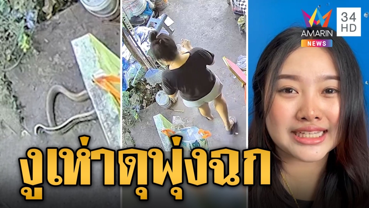 สาวกรี๊ดเสียงหลง งูเห่าดุ พุ่งฉกทีเผลอหนีตายระทึก