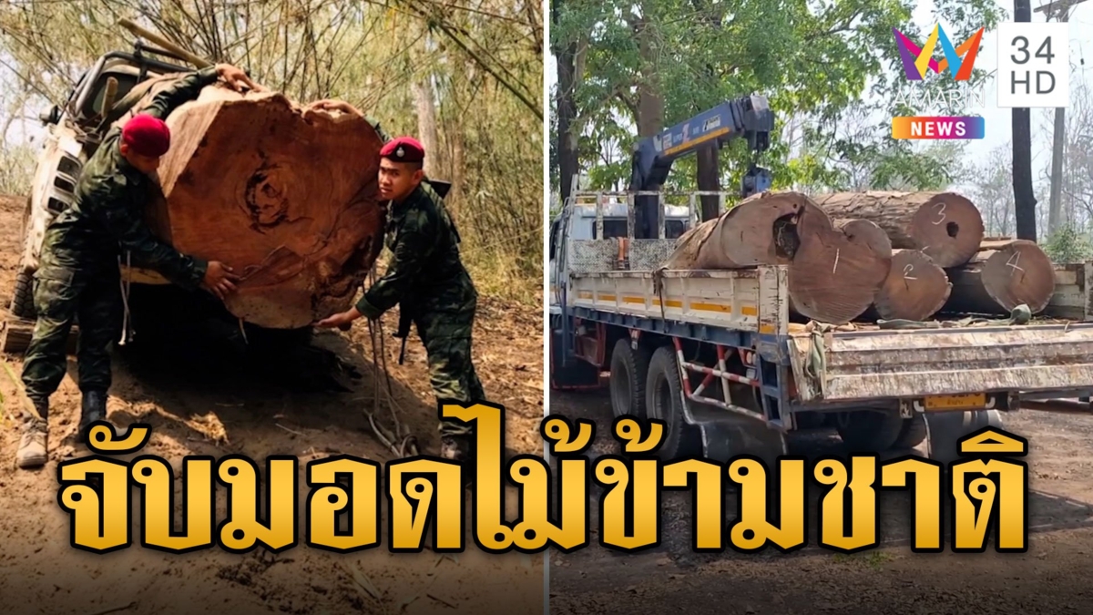 ล่าระทึก! ทหารเข้าชาร์จ จับแก๊งมอดไม้ข้ามชาติ