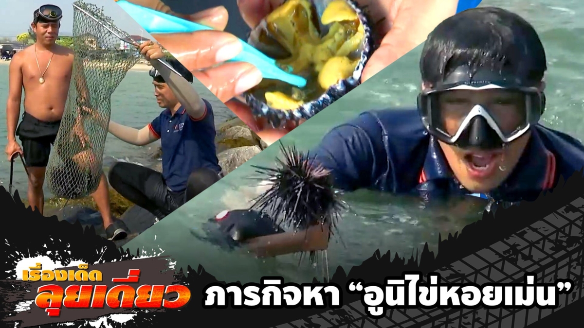 เรื่องเด็ดลุยเดี่ยว | ภารกิจหา "อูนิไข่หอยเม่น"
