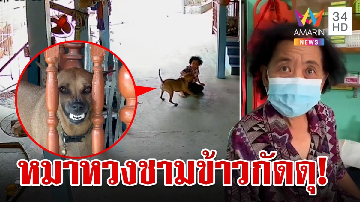 ดุดันไม่เกรงใจใคร! เจ้าของขยับชามข้าวหมา เจอกระโจนกัดจนแผลเหวอะ