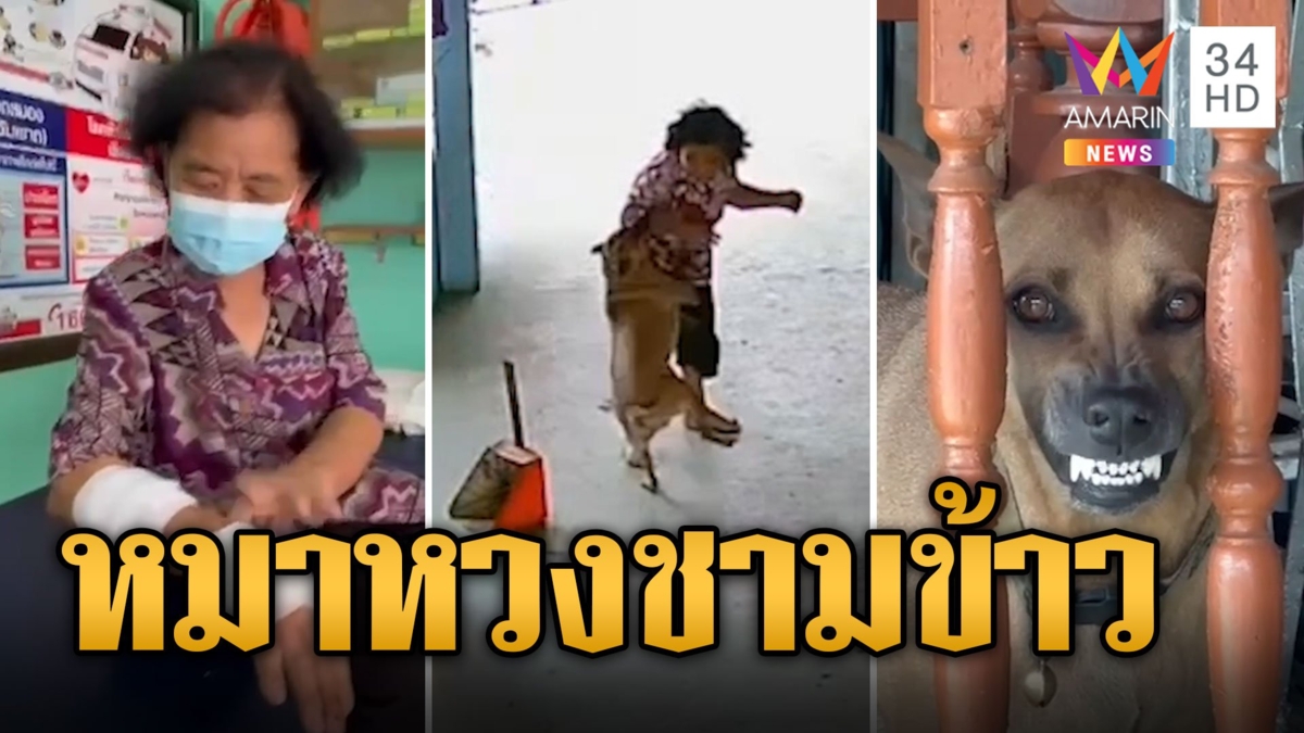 เลี้ยงไม่เชื่อง! หมาหวงชามข้าว พุ่งกัดเจ้าของแขนเหวอะ