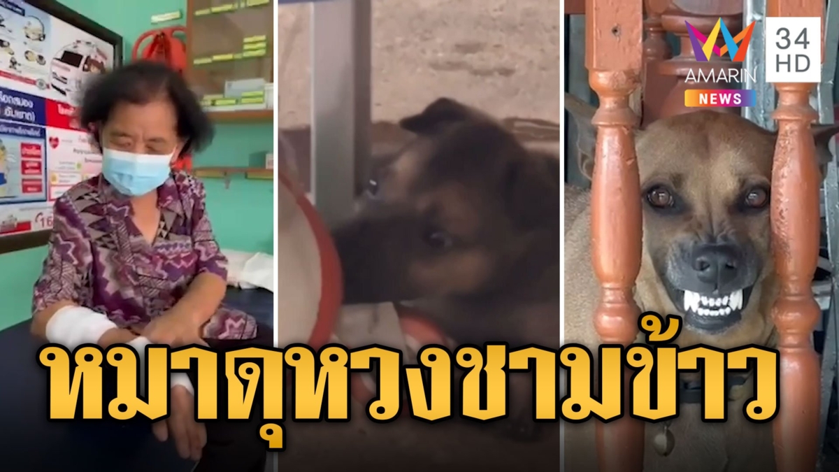ซาร่า หมาดุหวงชามข้าว กระโจนกัดยายเลือดสาด