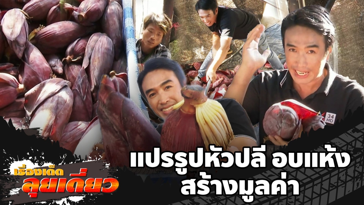 เรื่องเด็ดลุยเดี่ยว | แปรรูปหัวปลี อบแห้ง สร้างมูลค่า จ.นครปฐม