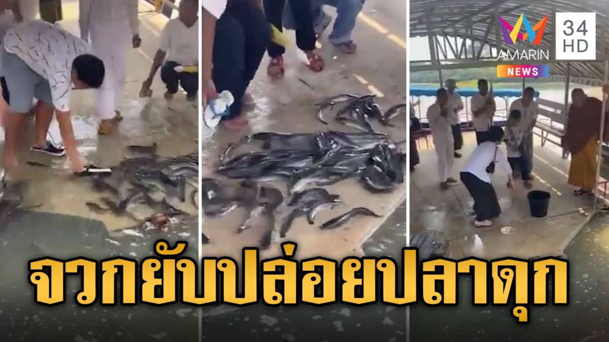 ดราม่าปล่อยปลาดุกเกือบตัน ห่วงระบบนิเวศพัง