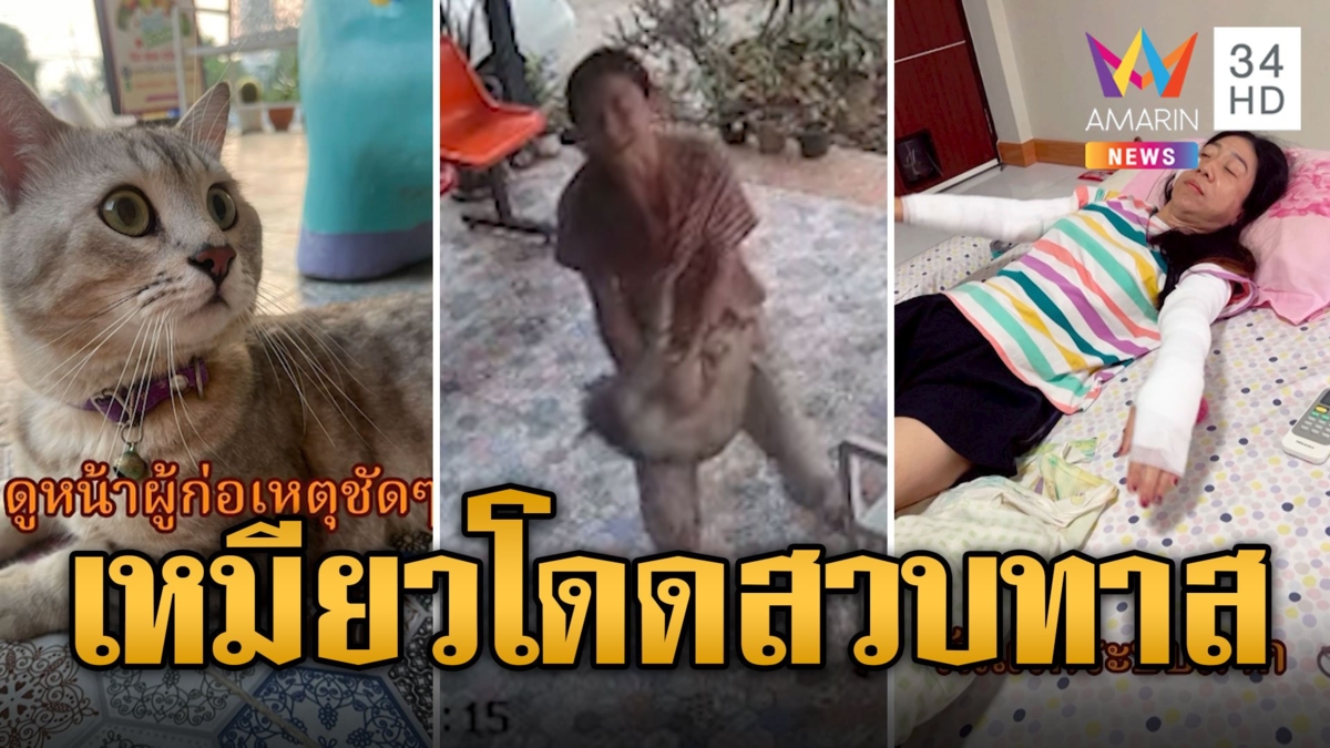 ทาสแมวเสียววาบ เจ้าเหมียวติดสัดกระโดดสวบเจ็บ
