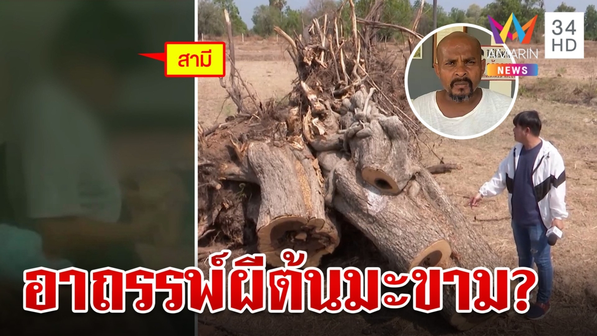 หนุ่มตัดต้นมะขามโดนวิญญาณตามหลอน หมอปลาจ่อพิสูจน์ความเฮี้ยน