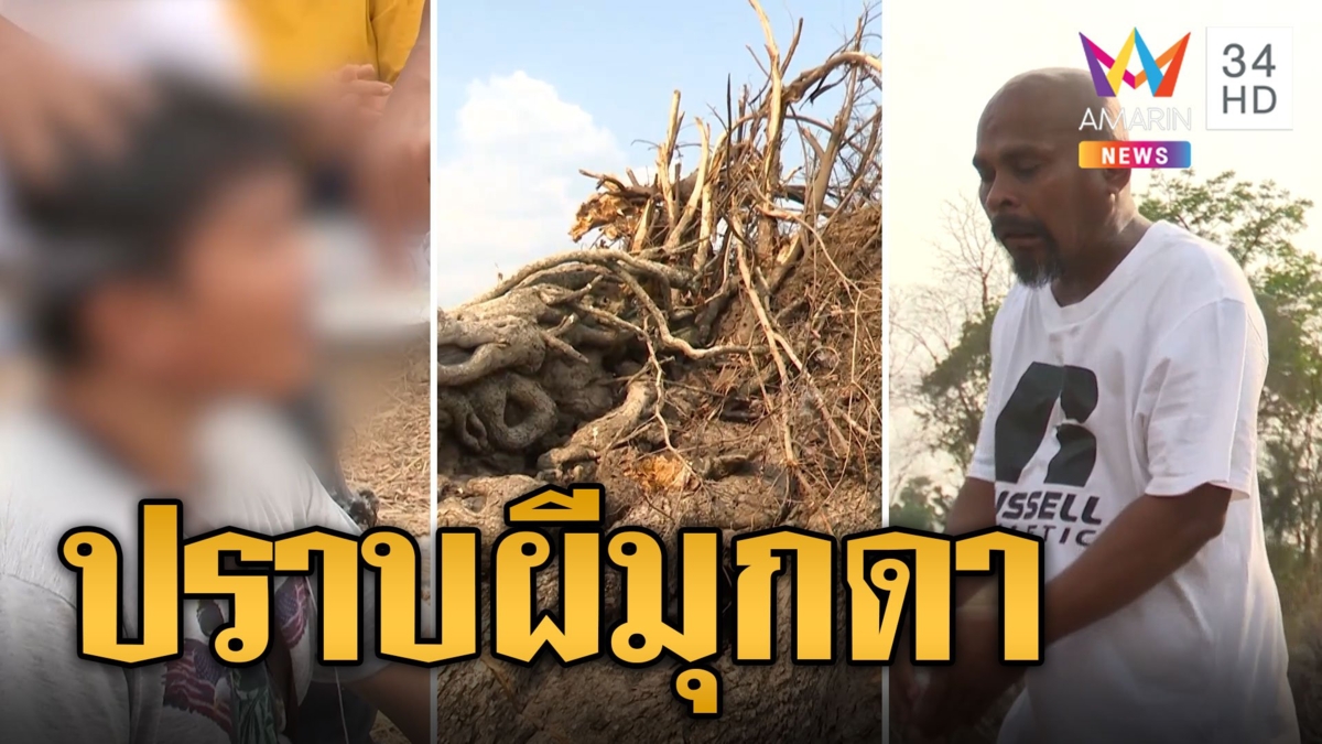 หมอปลา บุกปราบผีมุกดาสุดเฮี้ยน สิงต้นมะขาม 100 ปี
