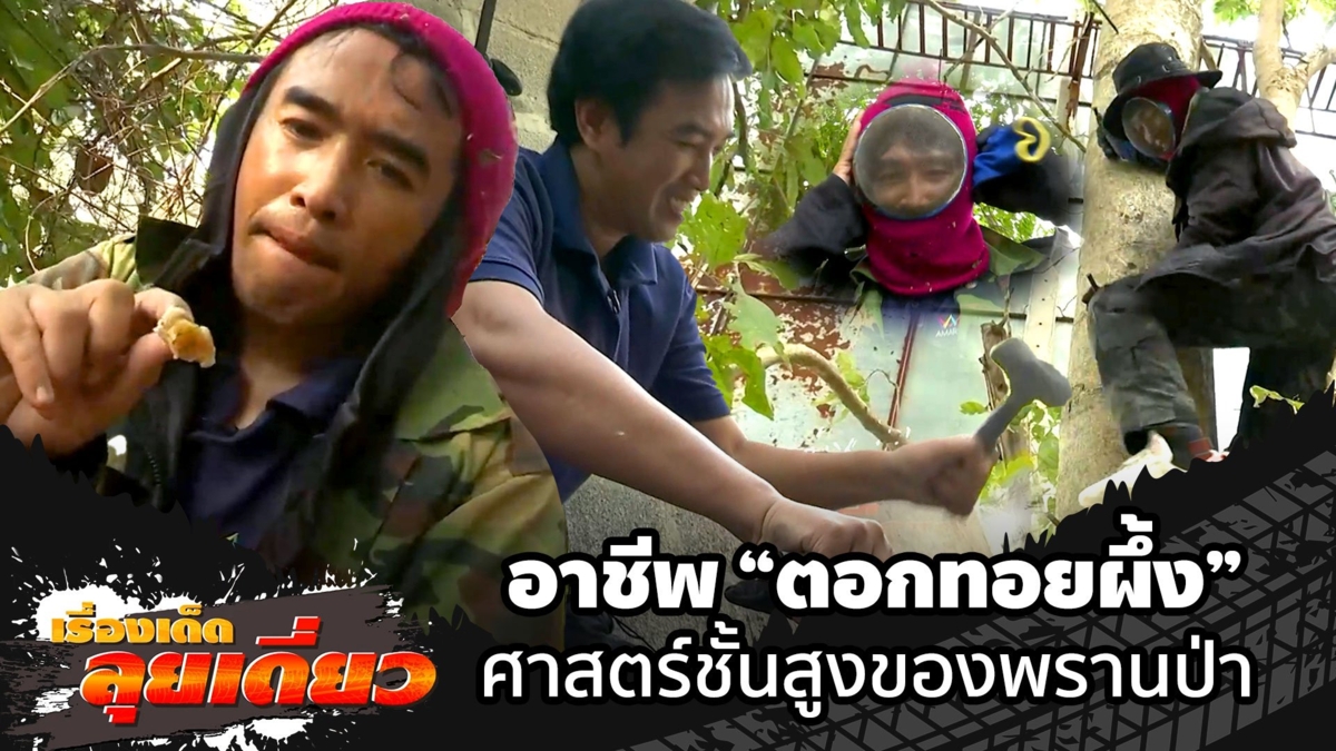 เรื่องเด็ดลุยเดี่ยว | อาชีพ "ตอกทอยผึ้ง" ศาสตร์ชั้นสูงของพรานป่า