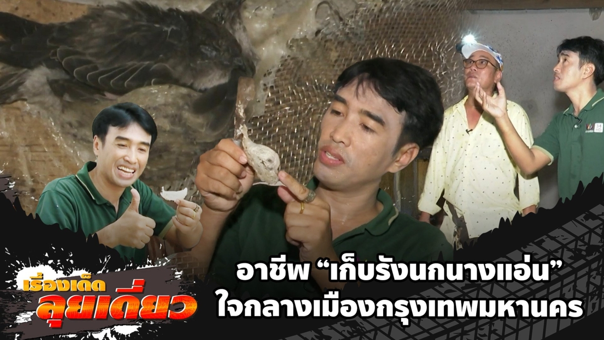 เรื่องเด็ดลุยเดี่ยว อาชีพ "เก็บรังนกนางแอ่น" ใจกลางเมืองกรุงเทพมหานคร