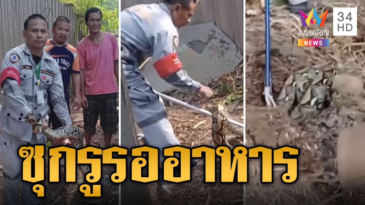 เหลือมตัวร้าย! ซุกจอมปลวก รอเขมือบหมาแมว