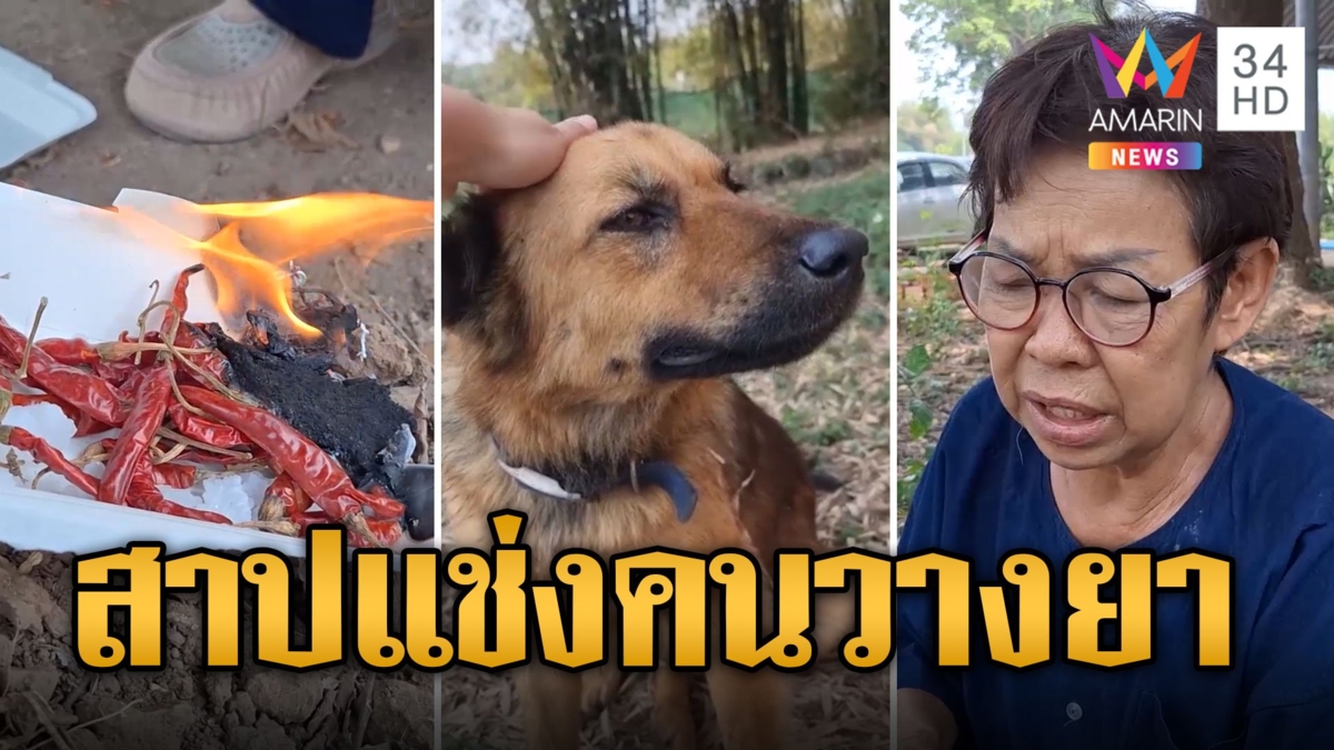 ป้าสุดทน! เผาพริกเผาเกลือ สาปแช่งคนใจร้ายวางยาเบื่อหมา